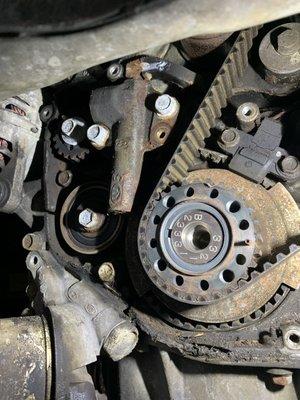 Timing belts