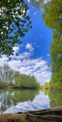 By the river