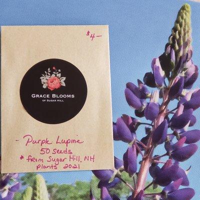 Lupine Seeds for sale seasonally. These sell out quickly!