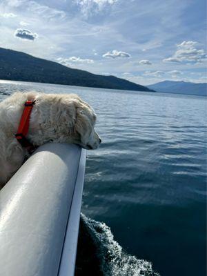 Khali enjoying the calm of the lake.