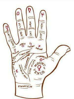 All palm readings $10 for the month of January