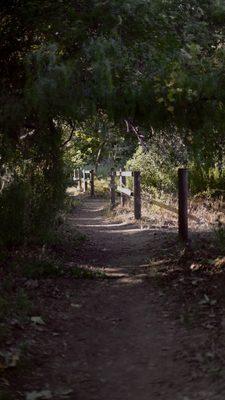 Part of the walking trail by the farm