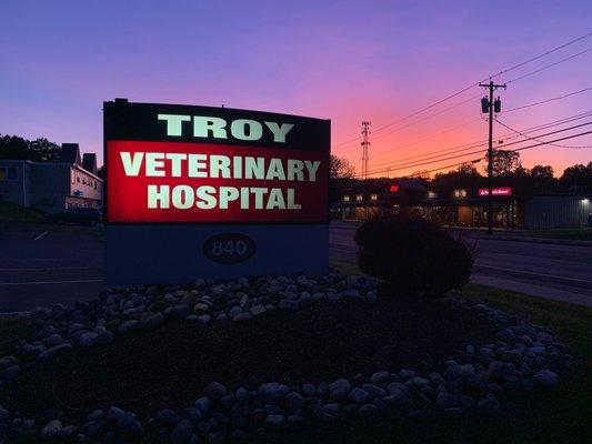 Troy Veterinary Hospital