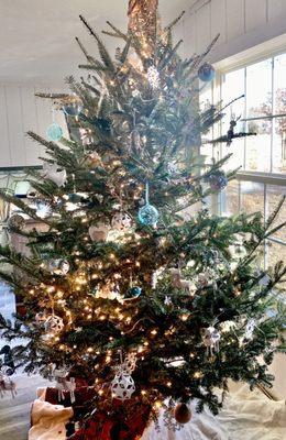 Our Christmas Tree we purchased from the Garden Station was the most beautiful tree we have ever had. Winners Circle! :))