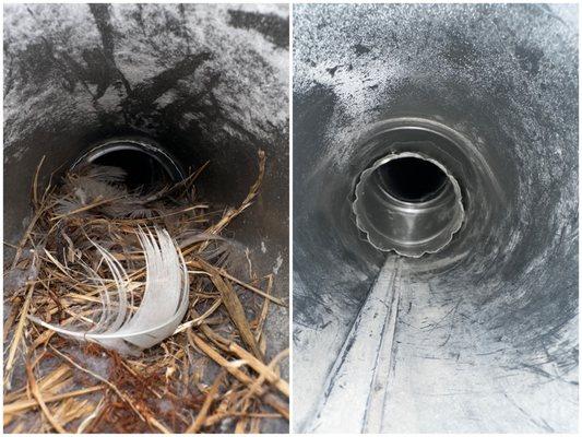 Before and after duct cleaning