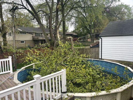 Before- storm demolished our pool