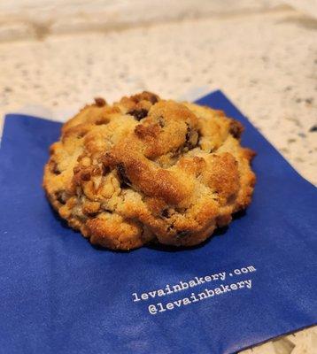 Chocolate Chip Walnut Cookie