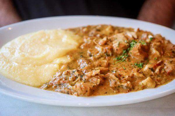 Chicken paprikash with polenta