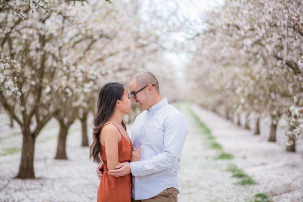 Engagement in the Almond Blossoms