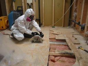 Mold Removal From Basement San Francisco