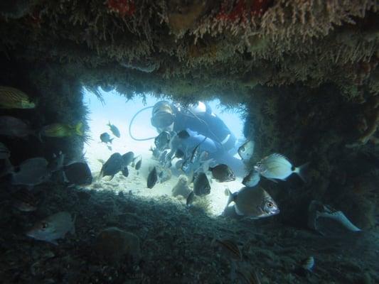 Artificial reef site, checking coral growth and fish.