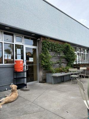 Dog friendly outdoor seating