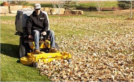 Lawn Mower Leaf Catchers