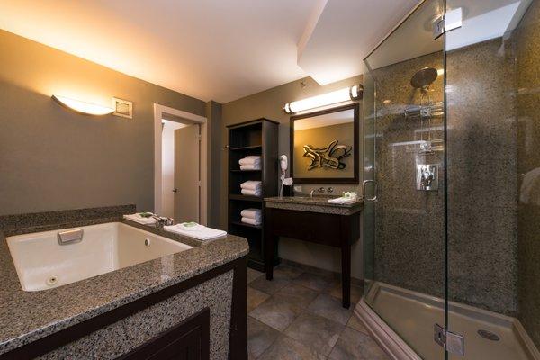 Suite Bathroom