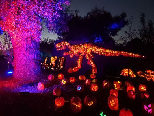 Magic of the Jack o Lanterns