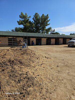 Horse stables