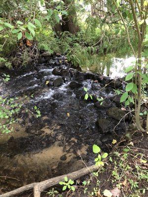 The river right behind our site. It sounds amazing.