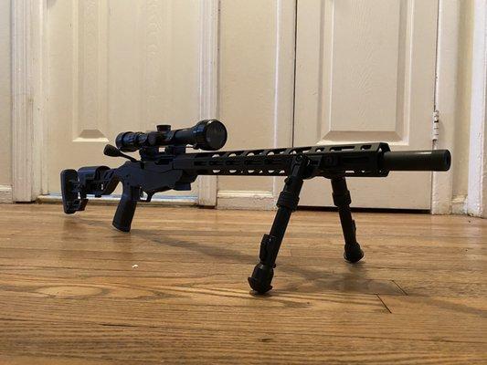 Ruger precision rimfire