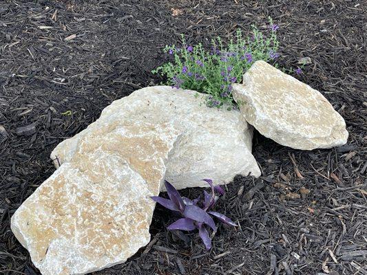 Some of the rocks we purchased!