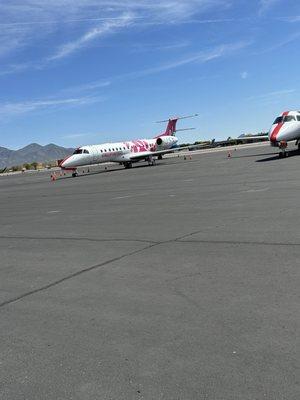 Wheels up! Vanderpump dogs plane.