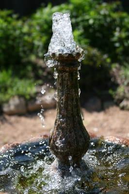 Fountain up-close in the garden.