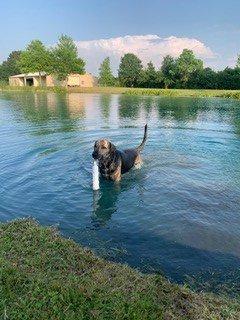 Delilah enjoying pond time