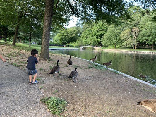 Feeding the duck!