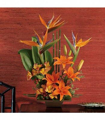 Exotic Grace by Hoover-Fisher Florist