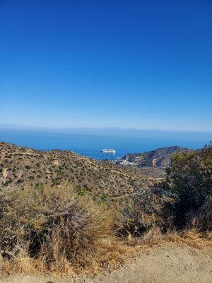 View of Avalon and cruise ship