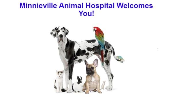 Minnieville Animal Hospital in Woodbridge welcomes pets of all shapes and sizes.