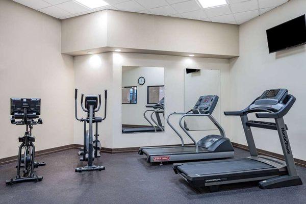 Health club  fitness center  gym