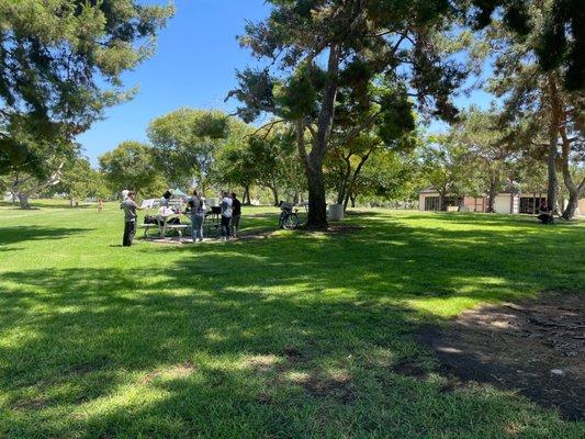 People jamming at the park