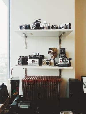 analog cam wonderland.