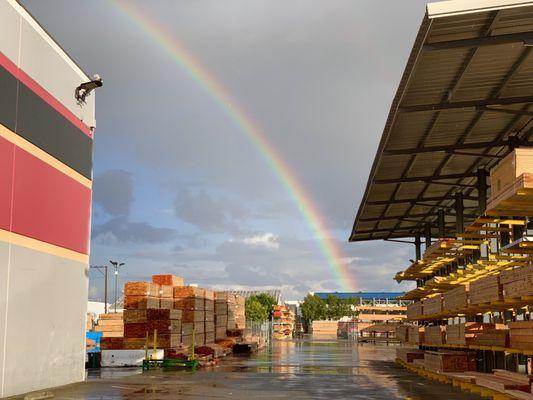 Lumber and Rainbows!