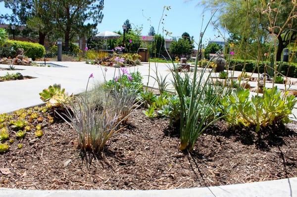 Native "themed" nature garden installation