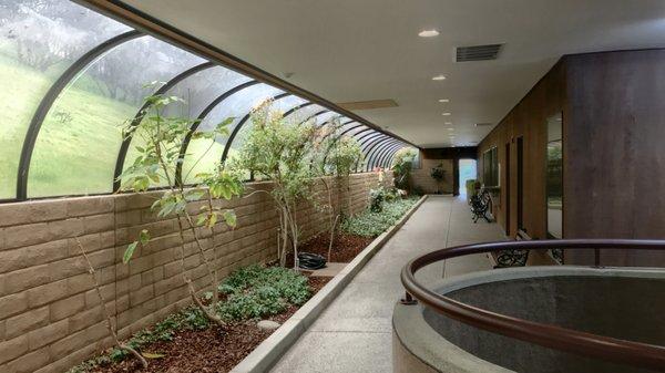 Our beautiful atrium, where we see deer, rabbits, and wild turkeys outside.