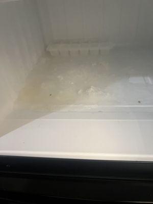 Inside of freezer