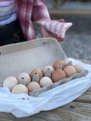 Fresh Eggs