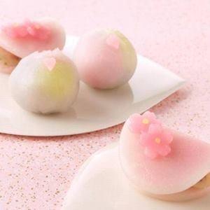 Japanese Confectionery 和菓子（わがし）