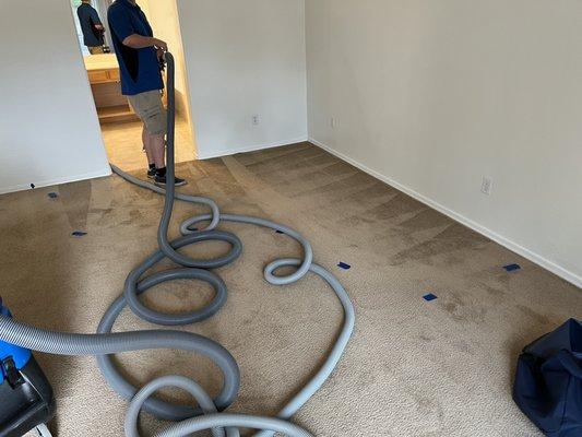 Water Extraction on carpet and laminate