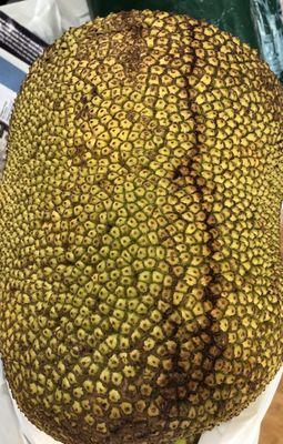 Jackfruit