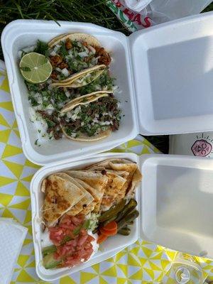 Pollo quesadilla, el Pastore, asada, and Carnitas tacos