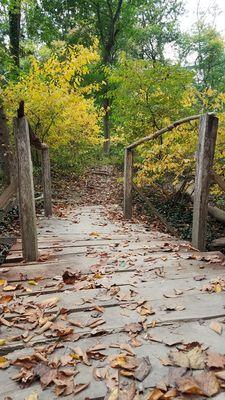 Saunders Woods Preserve - Natural Lands