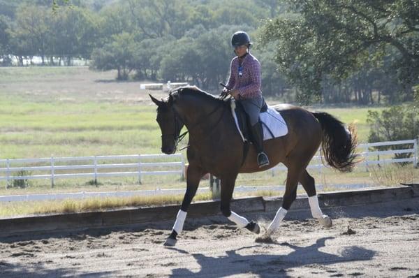 Patricia riding a dressage horse.