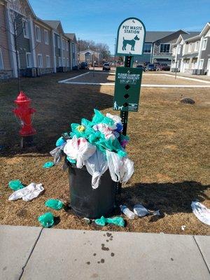 Tenants are responsible and clean up after their dogs, but the landlords aren't responsible enough to clean up after their tenants.