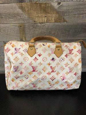 Louis Vuitton  Watercolor speedy