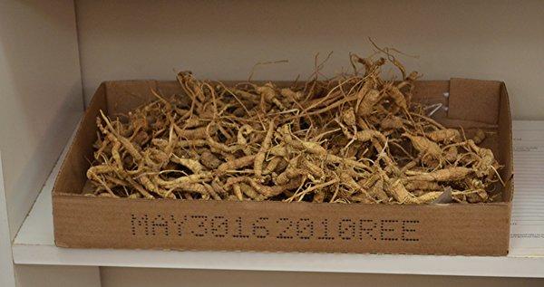 We buy Green and Dry Wild Ginseng!