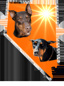 DRNV Logo featuring Rosie and Blaise, two of the many Dobermans saved and rehomed.