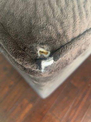 Torn corner of our couch