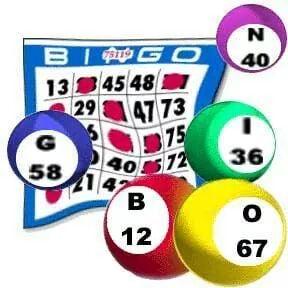 Bingo tonight at 7 30pm lotsa drink specials..great food..great fun...free to play come on down ... prizes etc...